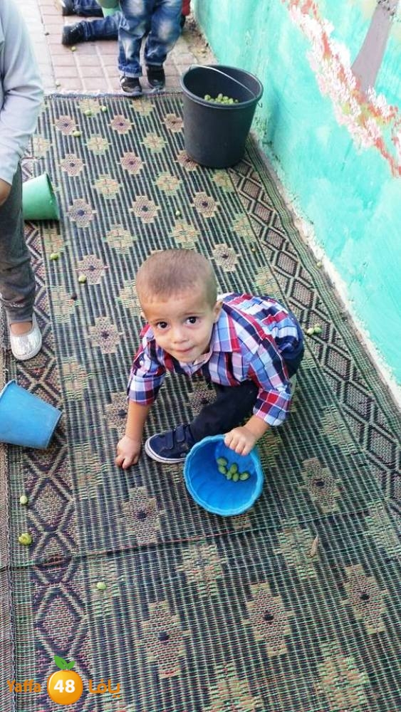 alkeram zatoon3 (12).jpg